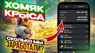 Hamster Kombat раздал дроп. Какая цена монеты HMSTR и сколько каждый смог заработать.