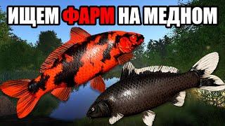 ФАРМИМ НА МЕДНОМ • РУССКАЯ РЫБАЛКА 4 • РР4 СТРИМ