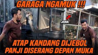 BERKALI-KALI PANJI DISERANG GARAGA !! TAPI CUMA PANJI YANG BISA TAKLUKIN GARAGA