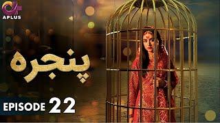 Pakistani Drama | Pinjra - Episode 22 | Aplus Gold | Yumna Zaidi, Nauman Aijaz | CZ1O