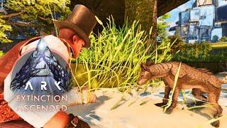 Every Home Needs A Dog | Ark Ascended | Chill And Chat Livestream