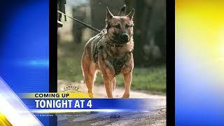 Coming up on KEZI 9 News at 4: Update on Oregon Medical Group; new K-9 dogs