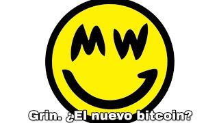 TODAS SON SHITCOIN; Grin, Beam, Stonewall, Dandelion, MimbleWimble, inflacionario, Timelock, IOTA