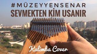 Müzeyyen Senar - Sevmekten Kim Usanır (Kalimba Cover)