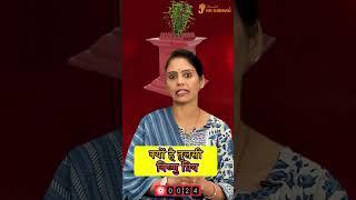 तुलसी पूजन के साथ अवश्य करें इस मंत्र का जाप | #astrology #tulsi #tulsipooja