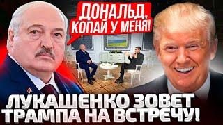 ДАВАЙ К НАМ, В МИНСК! ЛУКАШЕНКО ОФИЦИАЛЬНО ОБРАТИЛСЯ К ТРАМПУ! МОИ МЕТАЛЛЫ НЕ ХУЖЕ!