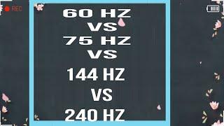 60hz vs 75hz vs 144hz vs 240hz Monitör Farkları (60hz vs 75hz vs 144hz vs 240hz monitor difference)