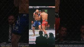 UFC 301 Brazil José Aldo vs Jonathan Martinez