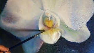 Speed Painting - White Orchids Orchidee - Drawing Flower with Oil Colors