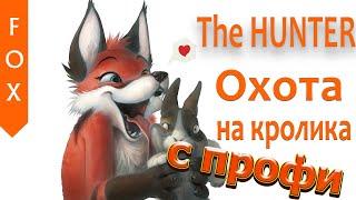 The HUNTER охота на кролика.