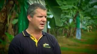 Environmentally-sustainable practices in Australian banana farming