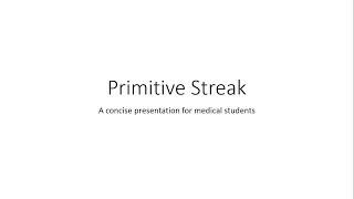 Primitive Streak - Embryology