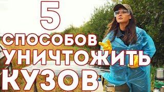 5 способов уничтожить защитную пленку / ТЕСТ / антигравийная пленка