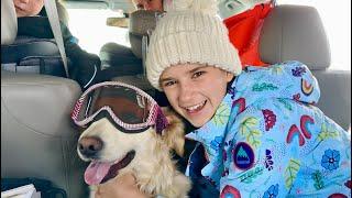 What happened to Karolina Protsenko's dog   - Our Family Vacation ️