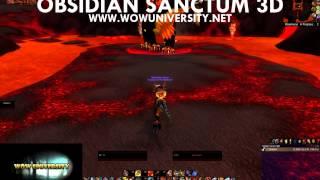 Obsidian Sanctum 25 Man Solo - Warrior | WoW university