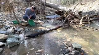 Gold Panning Arizona Runoff at Lynx Creek - Prescott - Arizona Gold Panning and Prospecting