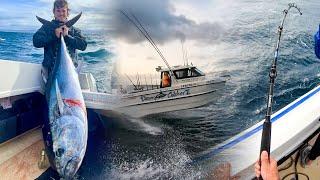 GIANT Bluefin Tuna Fishing