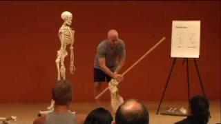 Functional Analysis of Shoulder Stand with Paul Grilley