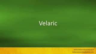 Pronunciation of the word(s) "Velaric".