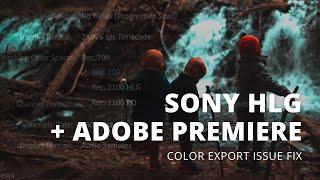 SONY HLG + ADOBE PREMIERE COLOR EXPORT FIX