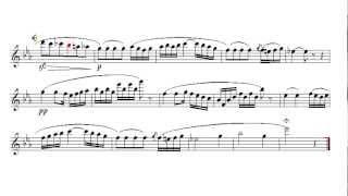 Etude for Flute  Minuet De L'Arlésienne G.Bizet