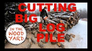 #284 - Firewood cutting Maple log pile! An awesome wood to cut!