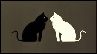 Goran Bregovic   Black Cat White Cat