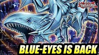 Blue-Eyes White Dragon Is Back & Better Then Before