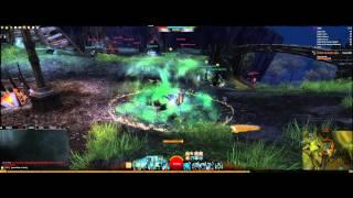 Guild Wars 2 (2560x1080) 60fps [5min Test]