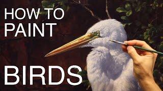 How To Paint Birds: EPISODE THREE - The Egret and Brahminy Kites