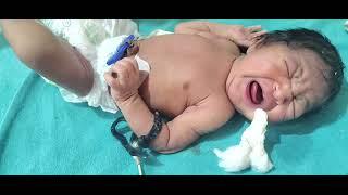 New Born Baby Is Very Crying but So Cute with hungry birds baby in the admit NICU Care in Hospital 