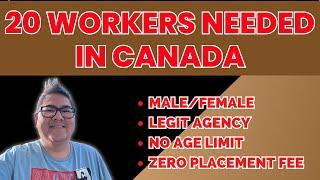 20 WORKERS NEEDED IN CANADA I LEGIT AGENCY I ZERO PLACEMENT FEE I BUHAY CANADA