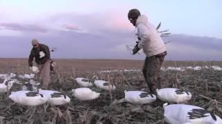 Snow Goose Windsock Decoys | Snow Goose Hunting with White Rock Decoys