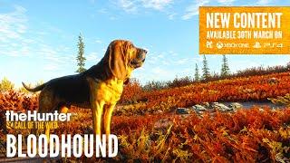 GOING HUNTING WITH NEW DOGS! THEHUNTER: CALL OF THE WILD BLOODHOUND DLC