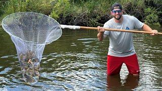 Scooping Up All the CRABS You Want in a Roadside Ditch (CATCH AND COOK)