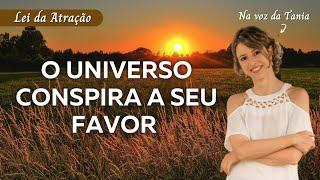 O Universo conspira a seu favor | trecho do livro | Lei da Atração