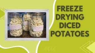 Freeze Drying Diced Potatoes #harvestright #yogihollowfarm