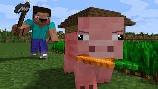 Pig Life - CraftTheHero Minecraft Animation