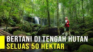 Surganya Bertani Di Tengah Hutan Seluas 50 Hektar dengan 100 Jenis Tanaman