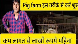 Pig farm इस तरीके से करें शुरू कम लागत में लाखों रूपये महिना कमाये Pig farming in India ।#pig #farm