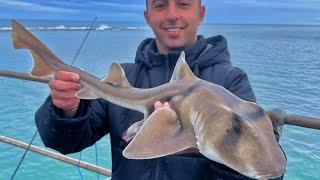 This Jetty Fishing inside a Reef is INSANE! (Port Noarlunga Jetty)