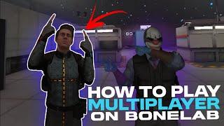 HOW TO PLAY MULTIPLAYER ON BONELAB | patch 4