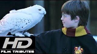 Harry Potter • Main Theme • John Williams