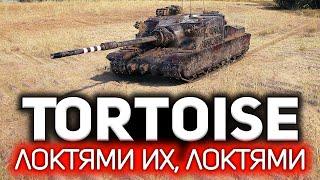 Я 12 лет ждал этот бой  Tortoise навсегда