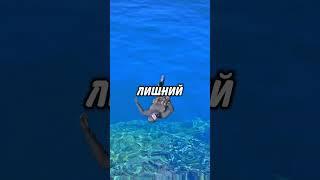  ПРОШЁЛ НА 100% ПАСХАЛКУ в ГТА 5 и ПОЛУЧИЛ... #shorts #gta5 #гта5