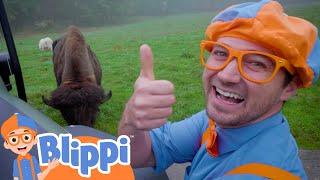 Blippi Visits the Wildlife Park - Learn About Animals! | Animals for Kids | Blippi
