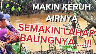 Mancing Baung Pakek Dua Joran Bikin Kewalahan