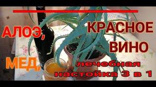 ЛЕЧЕБНАЯ НАСТОЙКА: АЛОЭ, МЕД, КРАСНОЕ ВИНО. 3 в 1. Проверенный рецепт