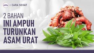 Bahan Alami untuk Menurunkan Asam Urat, Mudah Ditemukan! | Hidup Sehat tvOne