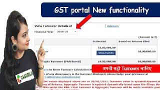 New Feature on GST portal - know your correct turnover under GST, GST turnover